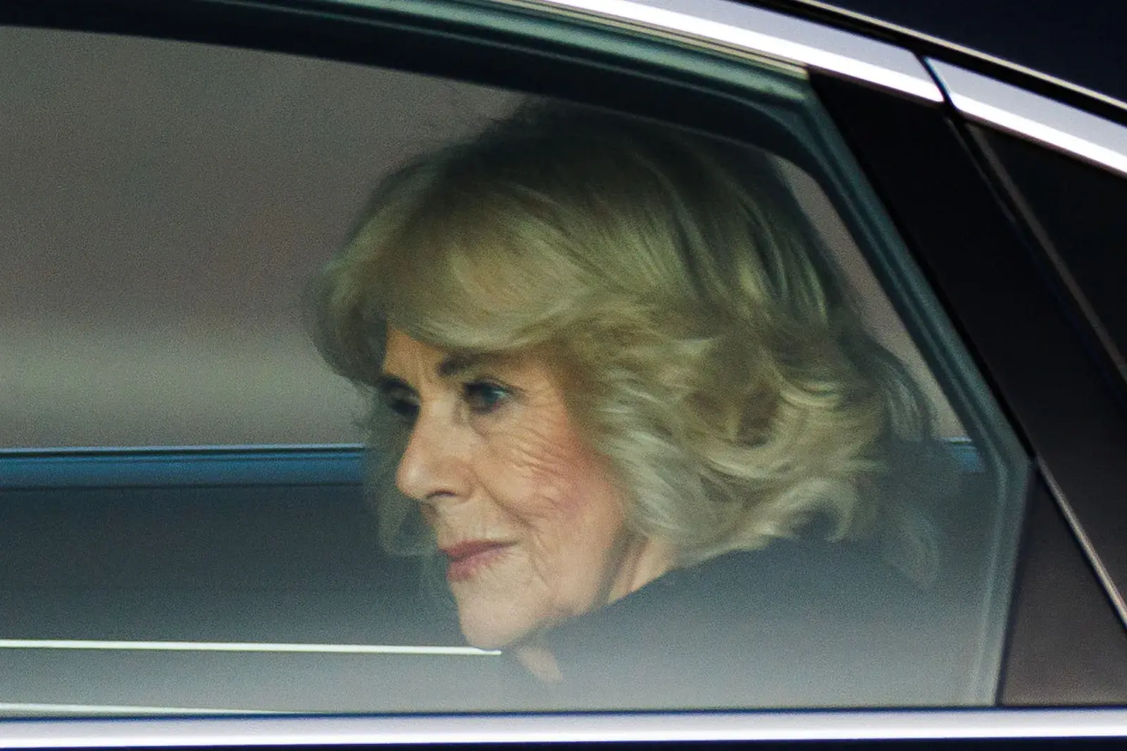 Queen Camilla Gives Major Health Update After Pneumonia - Newsweek