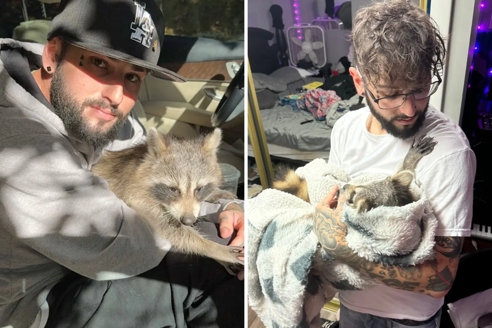 Man Filming Raccoon Not Prepared for What Happens When He Drops Vape ...