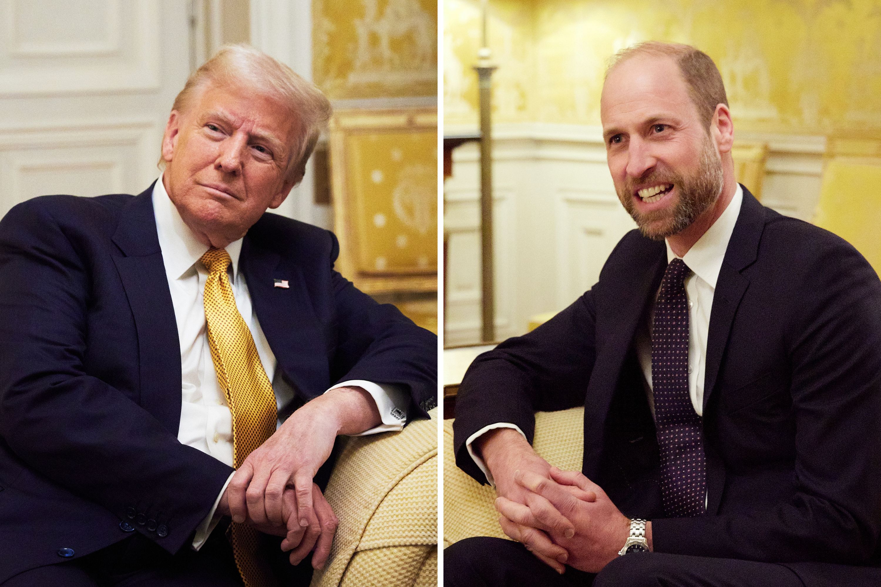 Prince William’s Body Language With Donald Trump Goes Viral