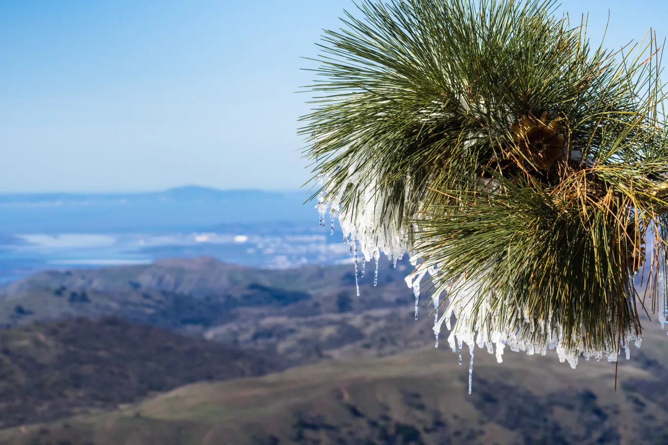 California Freeze Warning as Temperatures Could Plunge 30 Degrees ...