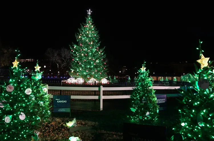 National Christmas Tree Lighting 2024: White House ceremony start time ...