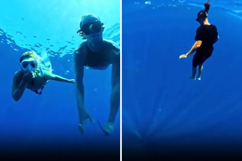 Friends Go on ‘Normal’ Dive, Then See Animal Lurking Below Them - Newsweek