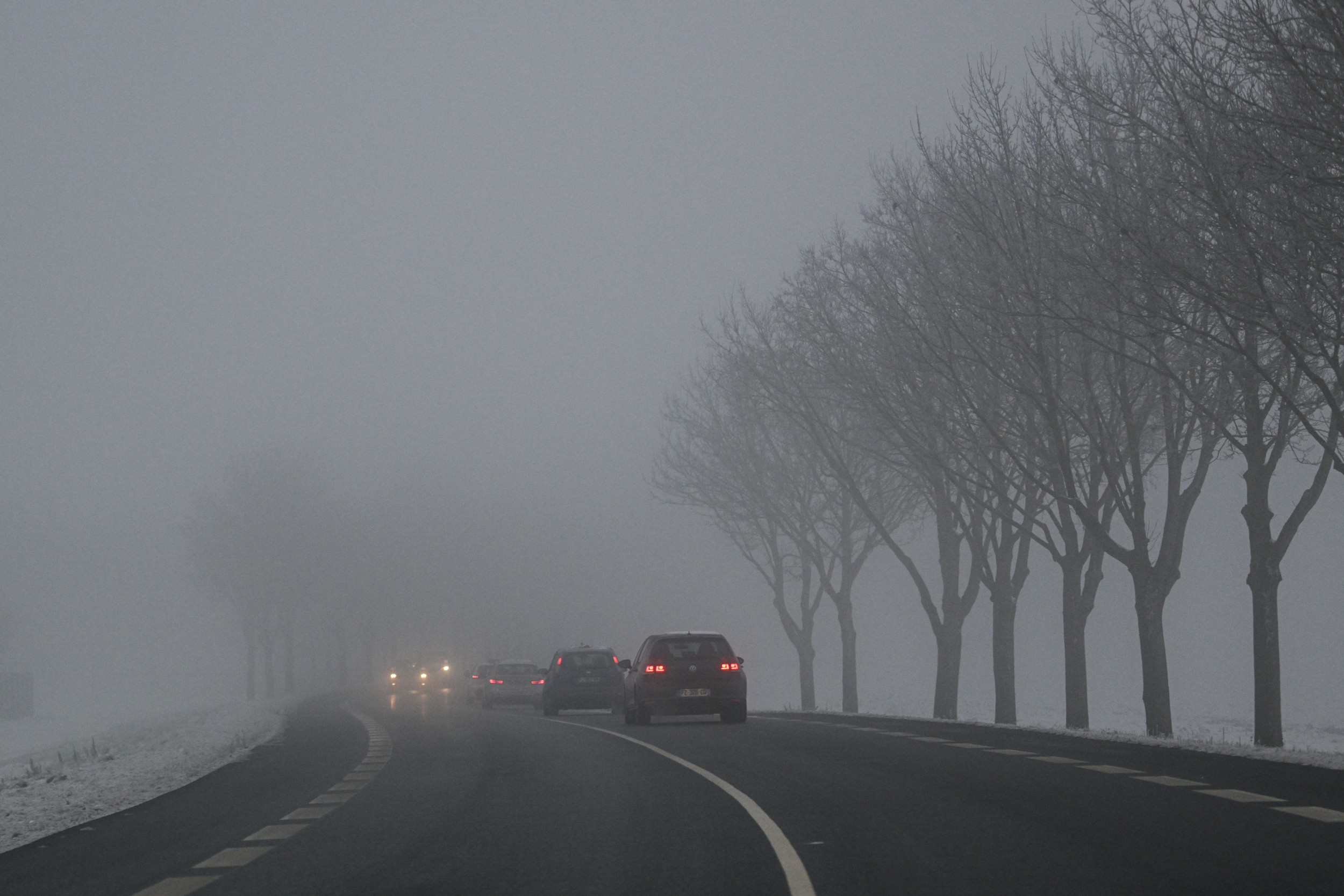 2547822-foggy-road.jpg?w=