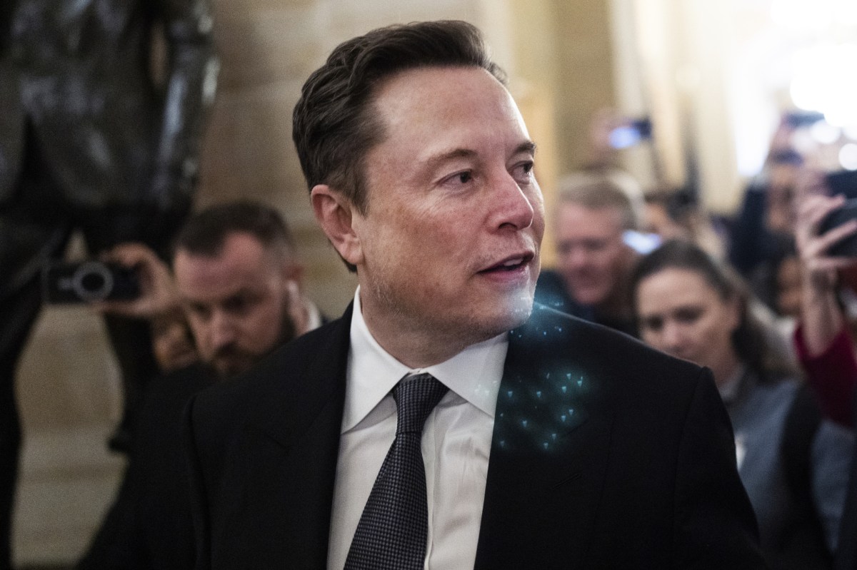 Elon Musk 'Runs the Republican Party'—Congress Reacts to CR Bill Collapse - Newsweek