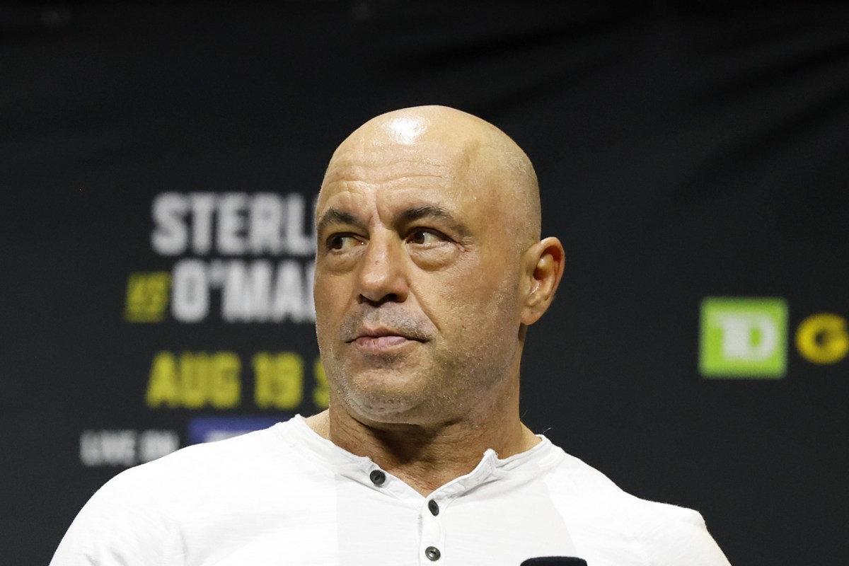 Go Rogan Joe Rogan Says Mystery Drones Could be Looking for ‘Gamma Radiation ...