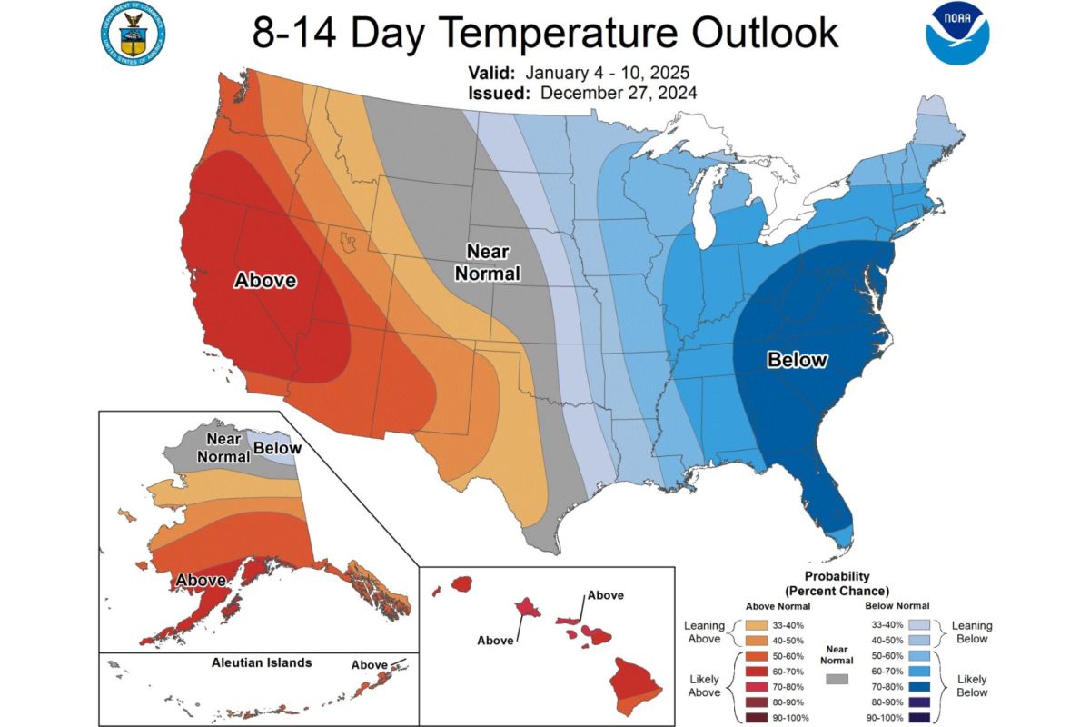 Florida Faces Brutal Cold as Temperatures Set to Plunge in January ...