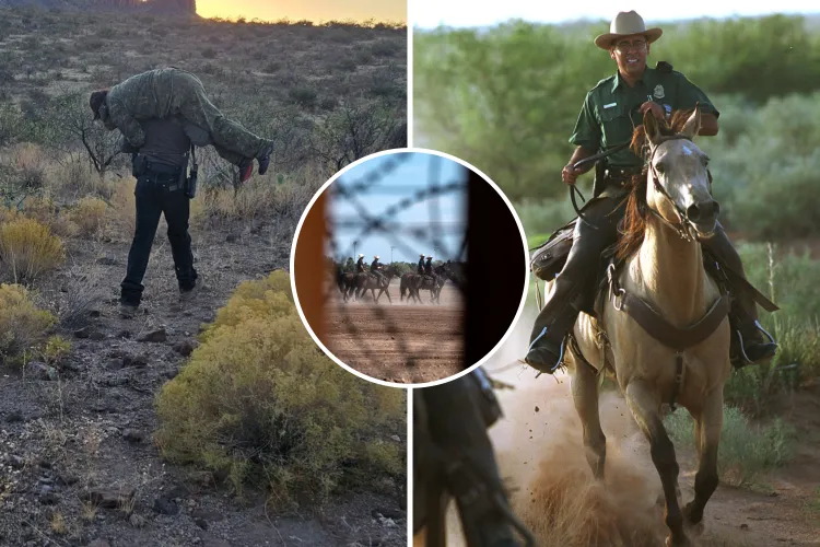 Border Patrol Agent Reveals Valiant Migrant Rescue—’We’re Human Too ...