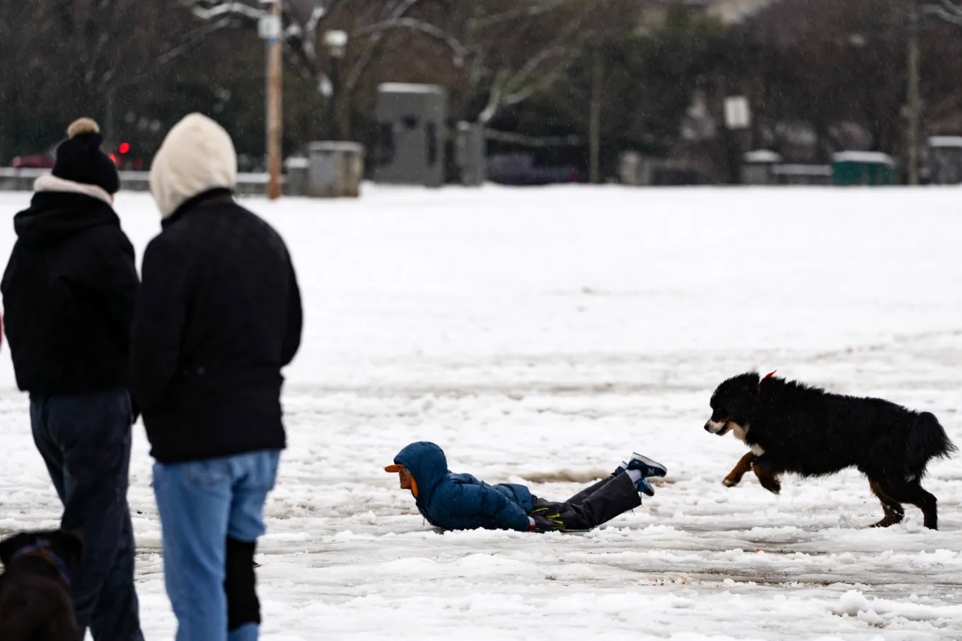 Winter Weather Warnings in 6 States As 24 Inches of Snow To Hit - Newsweek