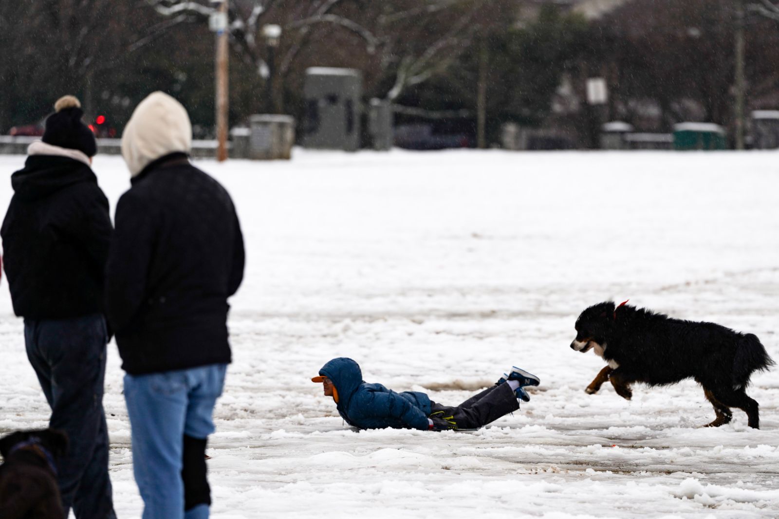 Winter Weather Warnings in 6 States As 24 Inches of Snow To Hit - Newsweek