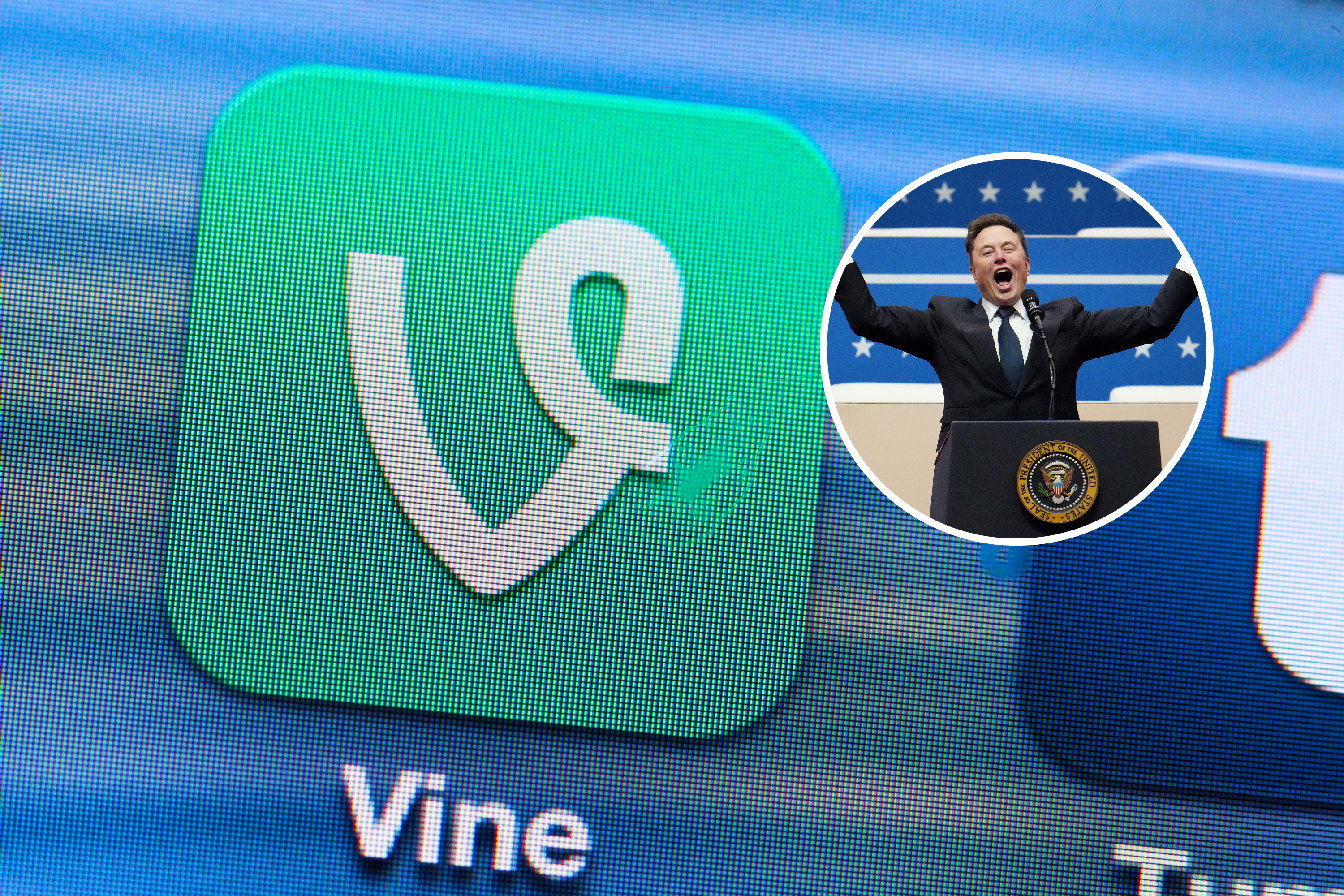 Vine Meme Coin Soars As Elon Musk Considers Resurrecting App - Newsweek