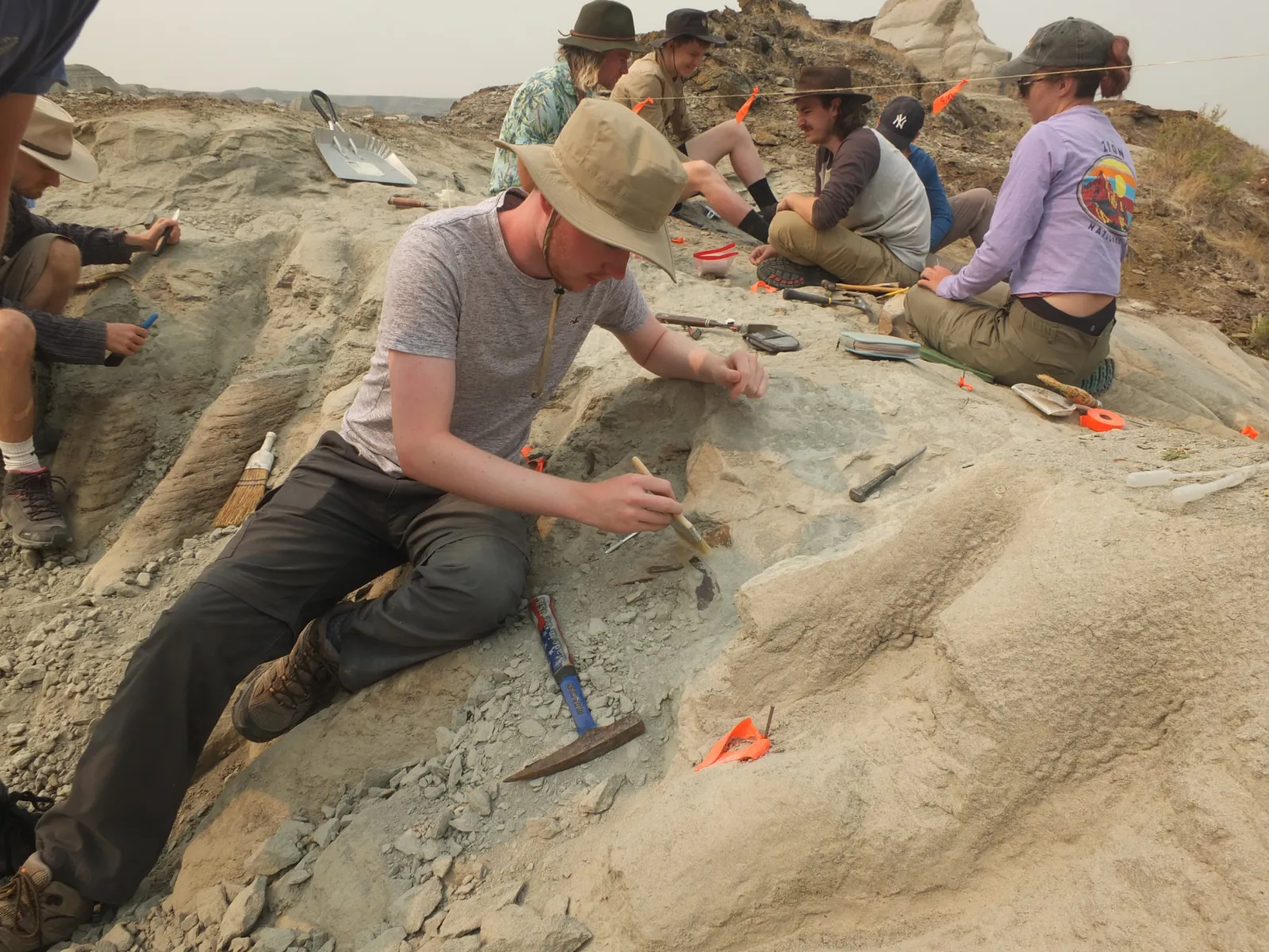 Fossil excavations Dinosaur Provincial Park, Alberta, Canada