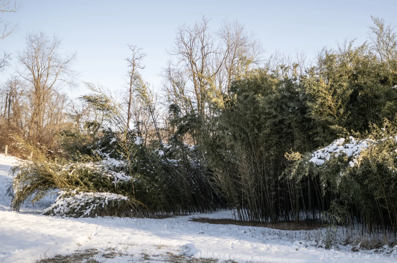 Winter Weather Warnings in 6 States as 30 Inches of Snow to Hit - Newsweek