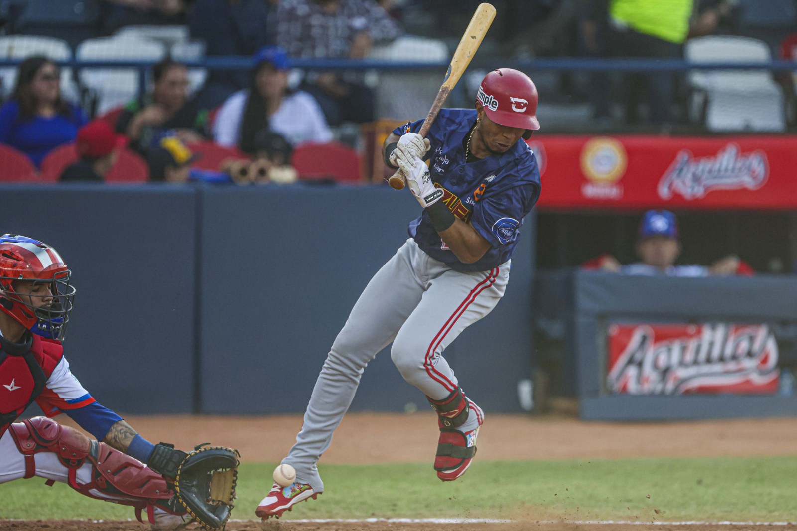 How to Watch Japan vs Venezuela: Live Stream Caribbean Series Baseball, TV  Channel - Newsweek