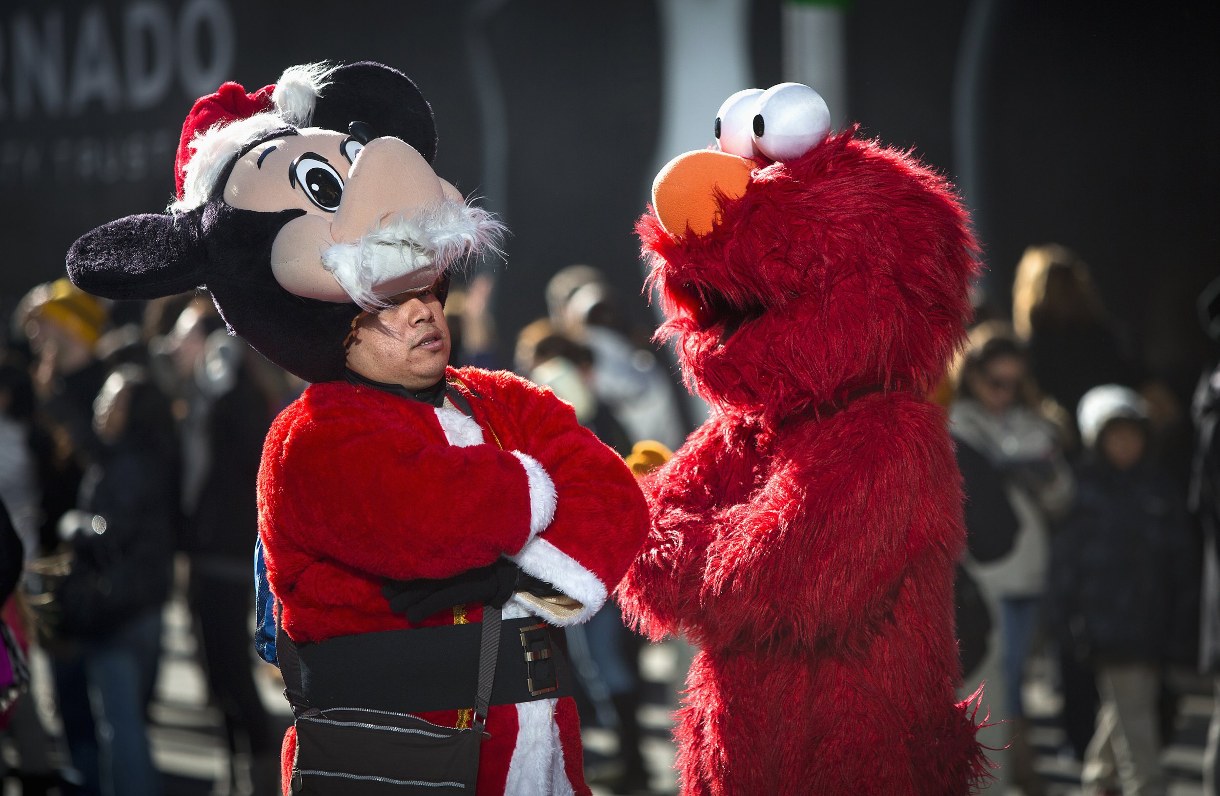 Will Undocumented Elmos in Times Square Face Immigration Status