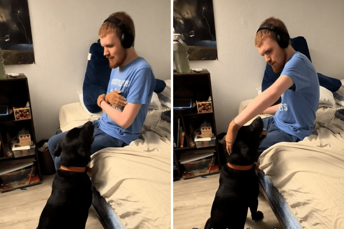 Teen With Autism Was ‘Always’ Afraid of Dogs—Then Everything Changed ...
