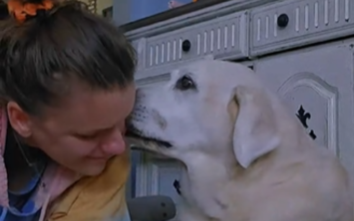 Soul Dog What Woman's Dying 'Soul Dog' Does at the End Has Her—and Internet