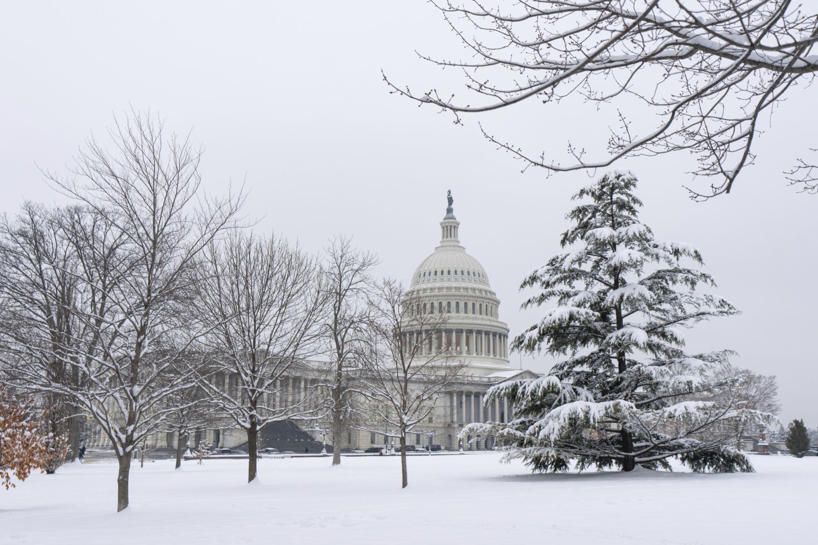 Winter Weather Warnings in 12 States As 18 Inches of Snow To Hit - Newsweek
