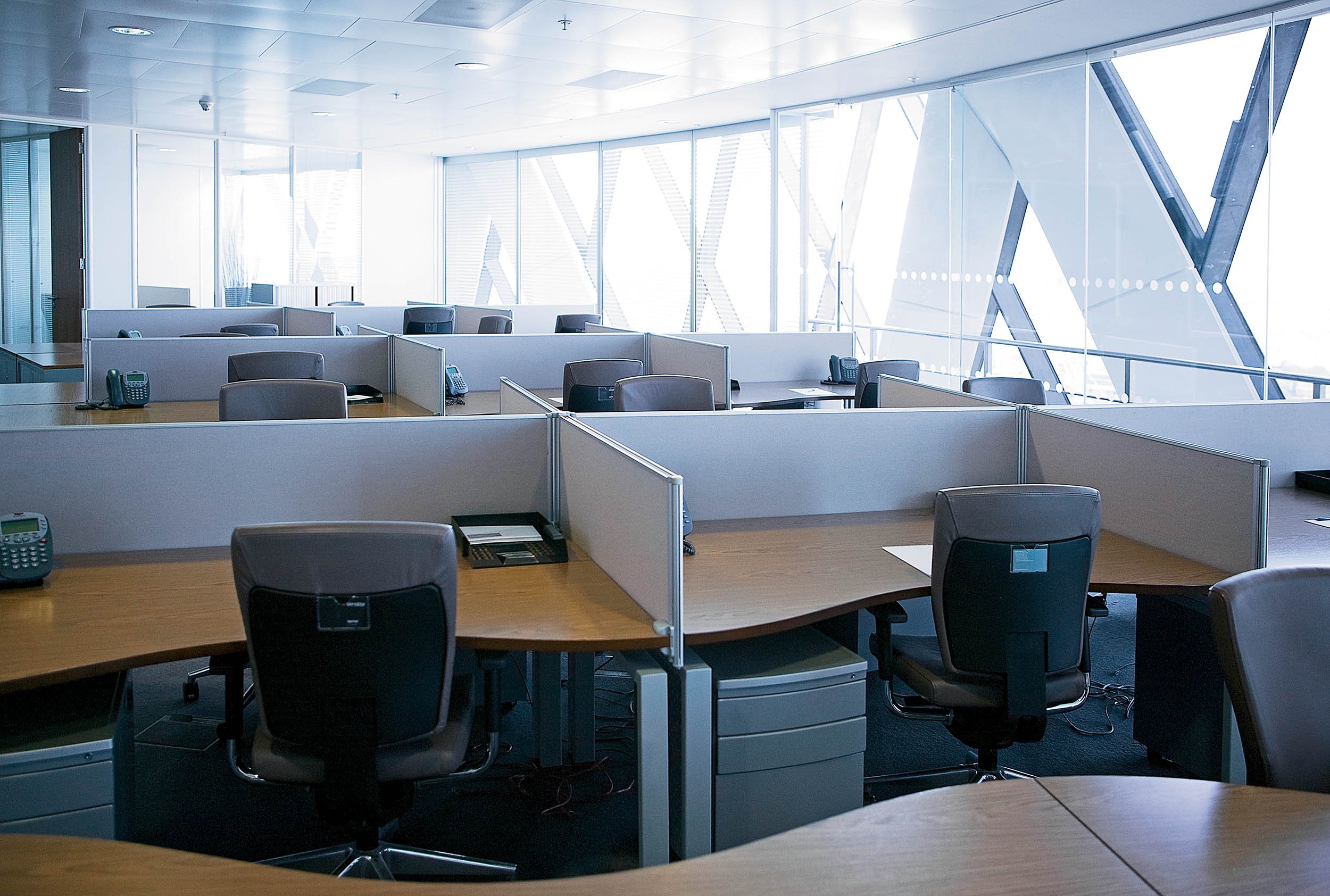 Woman Displays Wedding Photo at Work—Shock at Coworkers' 'Weird' Response