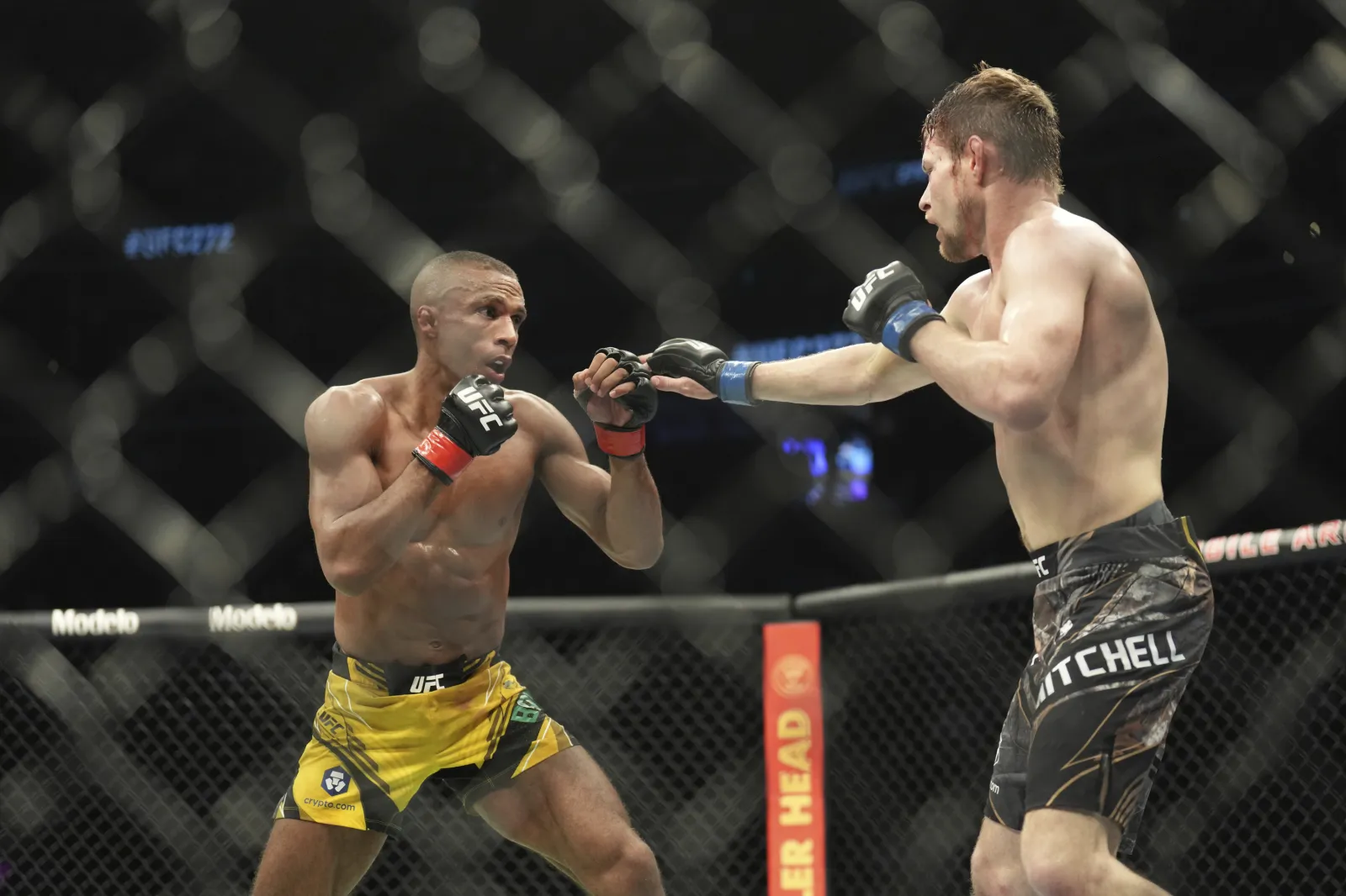 UFC Fighter Who Praised Hitler Explains Why He Thinks Earth Is Flat -  Newsweek