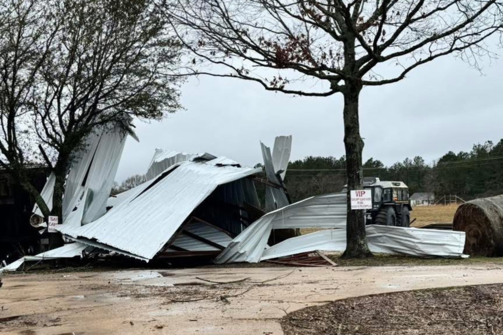 Baby Animal Killed After Tornado Hits Petting Zoo: ‘Today is a Hard Day’