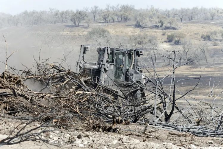 Texas Wildfire Map Shows Escalating Blazes As Hundreds Evacuated - Newsweek