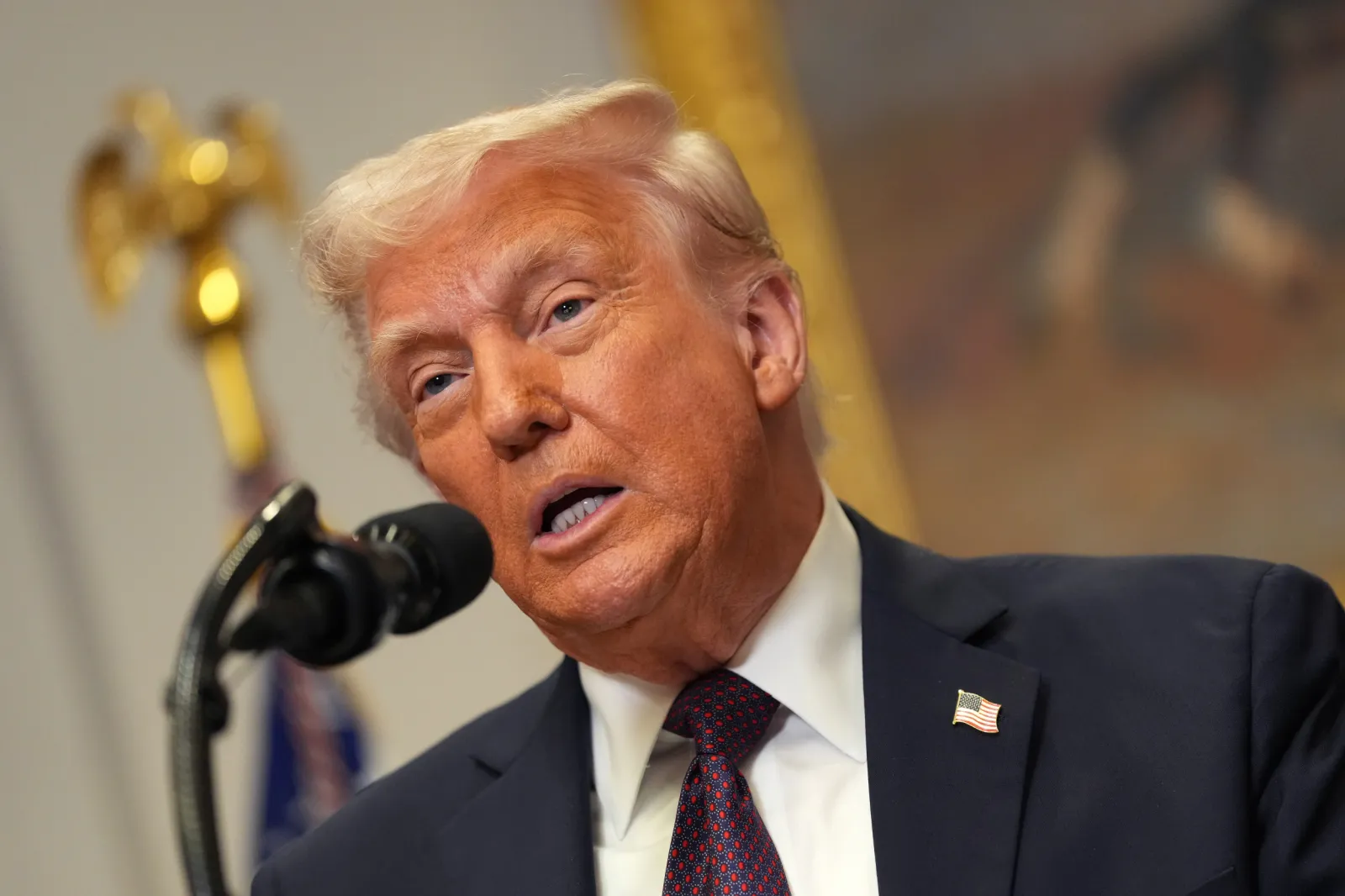 DOGE Stimulus Check Update: Trump Campaign Speaks Out - Newsweek