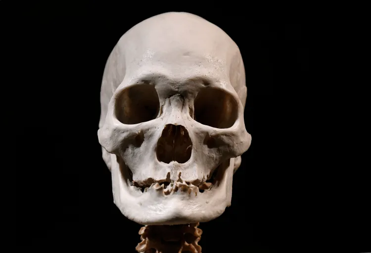 Florida Woman Tried To Sell Human Remains on Facebook: Police - Newsweek