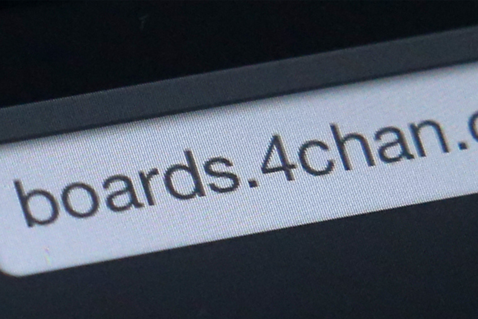 Is 4chan Down? What We Know Amid Hack Reports - Newsweek