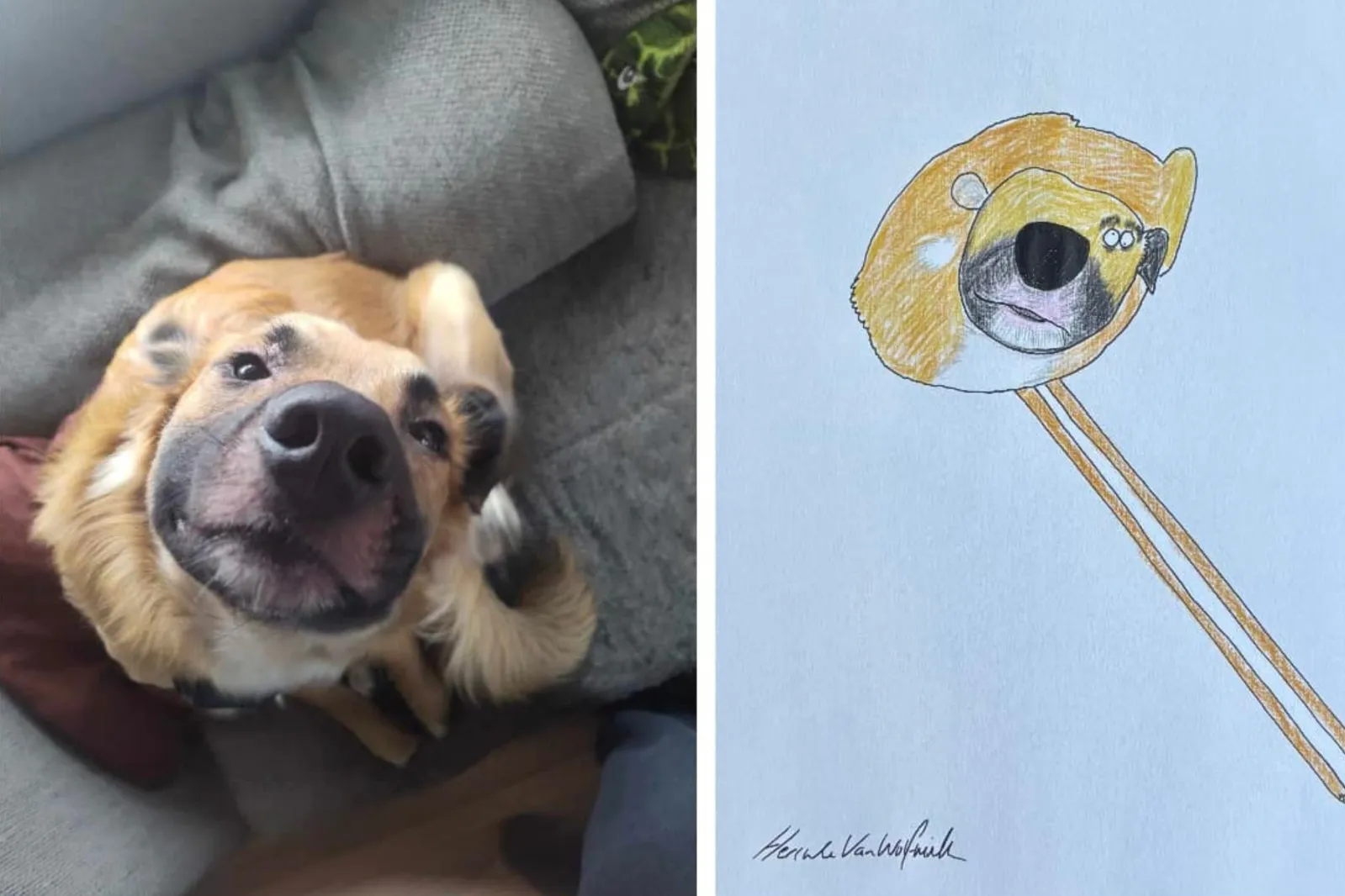 Man Drew Terrible Pet Portraits, Turns Out They Were Worth $500K