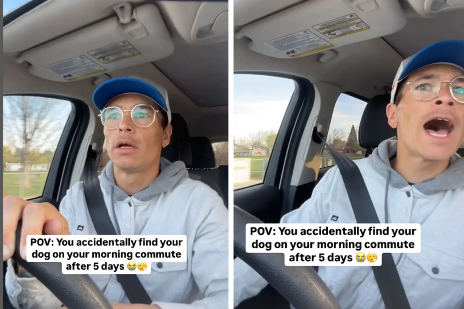 Days After Dog Goes Missing, Man Can’t Believe What Happens on His ...
