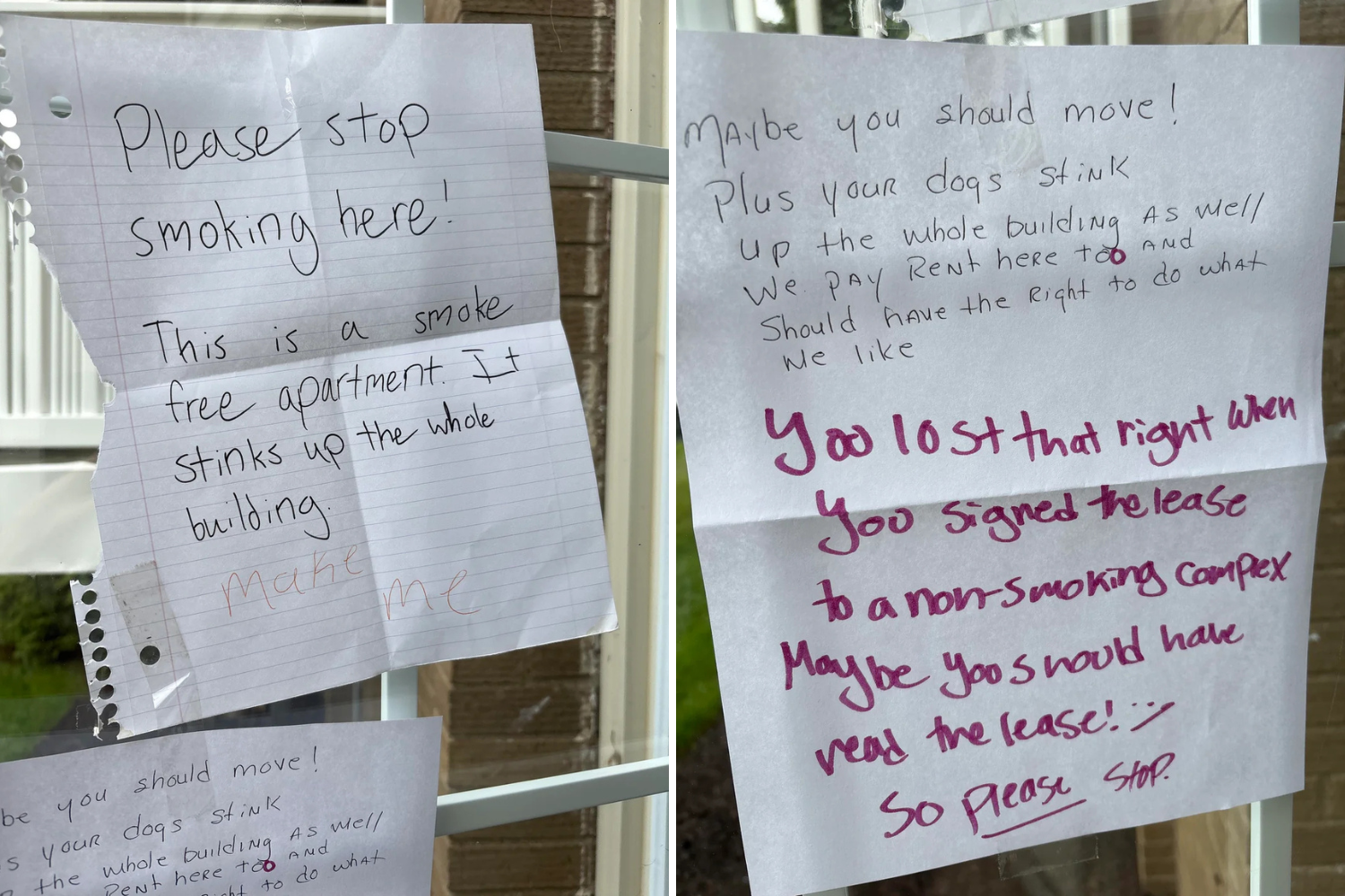Neighbors Note 'War' Raging for More Than a Year, and No One Will Back Down 