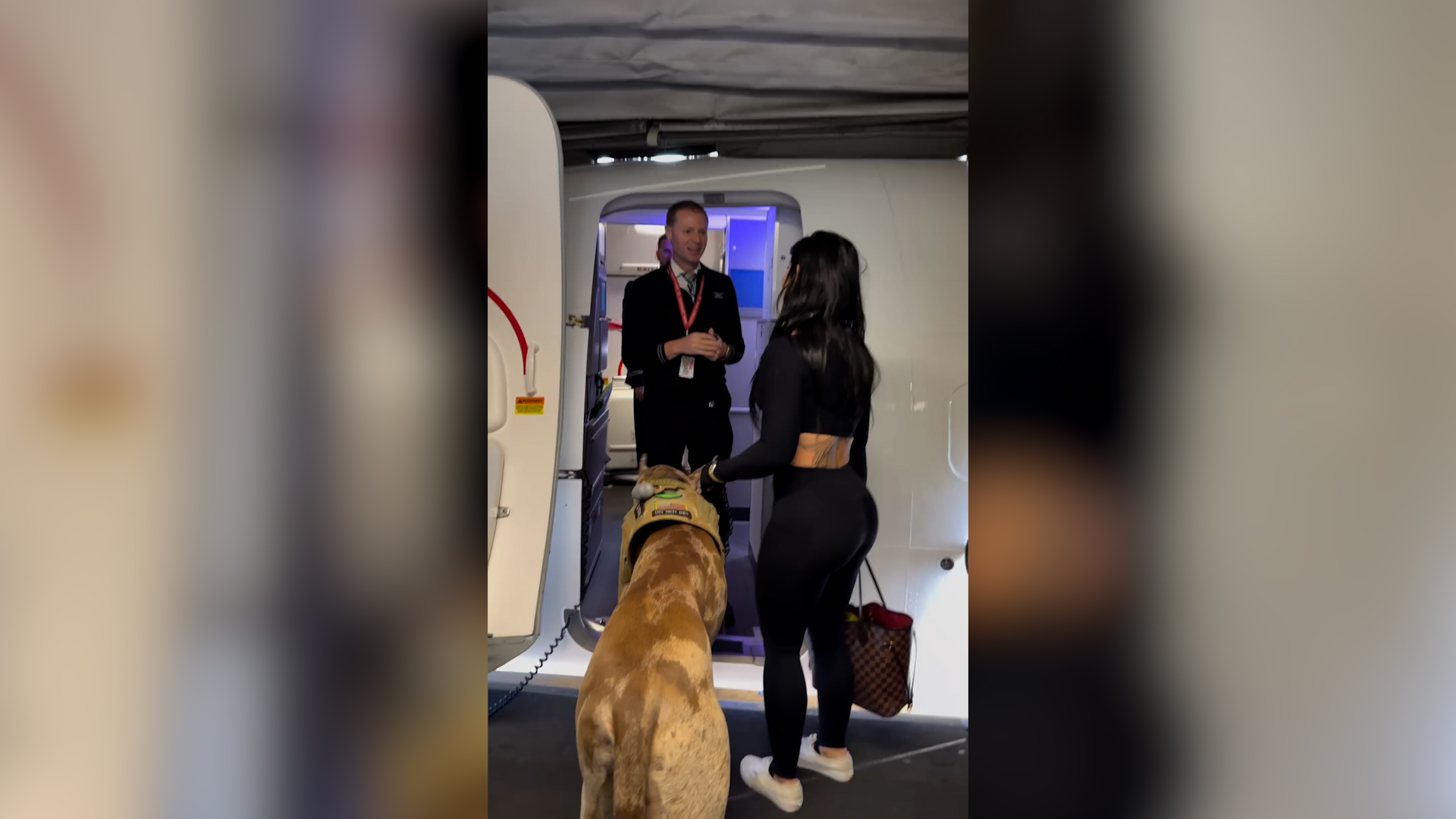 Traveling Internationally With a Service Dog: Essential Tips & Tricks