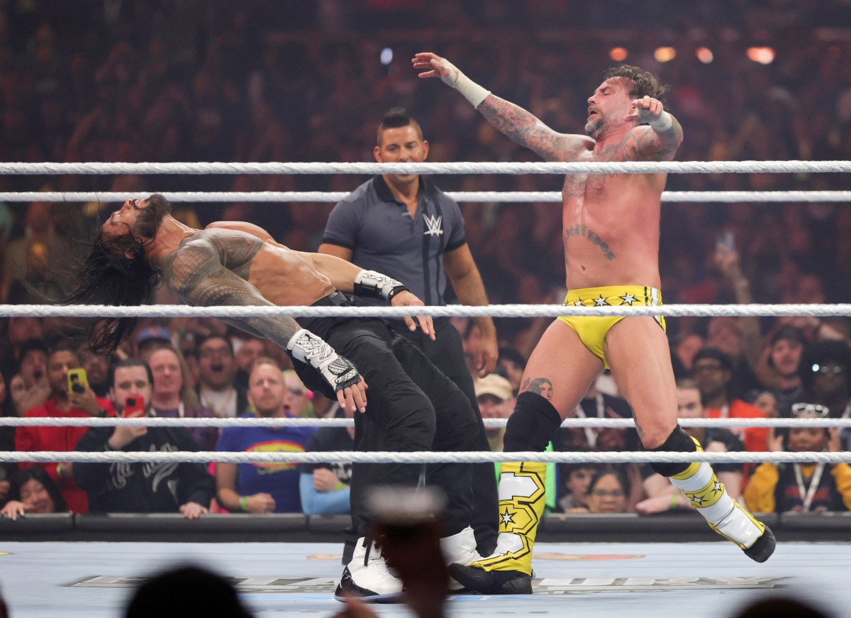 WWE&rsquo;s Roman Reigns and CM Punk Land Major Hollywood Roles