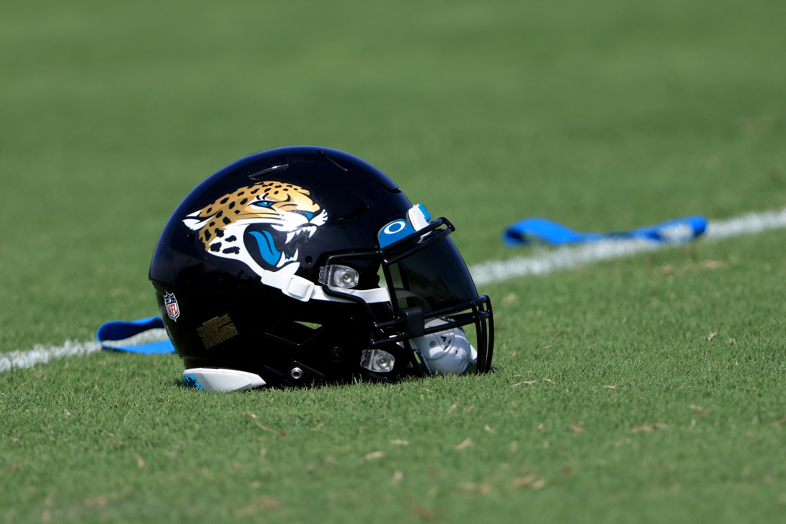 NFL Jacksonville Jaguars ヴィンテージ　革ジャン NFL Jacksonville Jaguars ヴィンテージ 革ジャン NFL Jacksonville