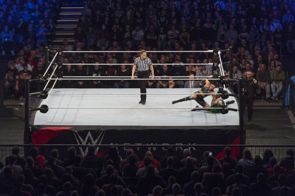 WWE Champion Reveals Being Sidelined With Legitimate Injury - Newsweek
