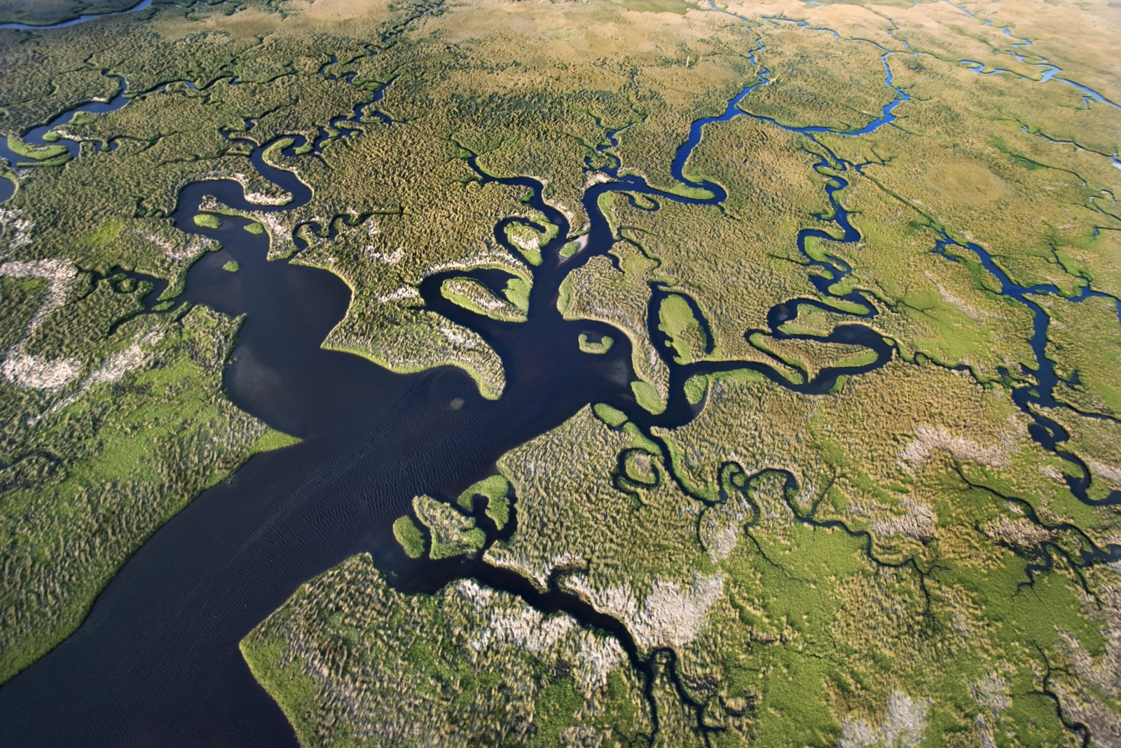 Pᴀssenger Captures Drought-Stricken Everglades in Heartbreaking Plane Video  - Newsweek