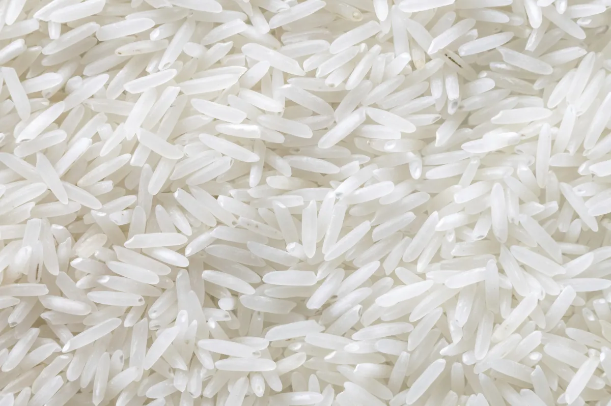 2671909-rice.jpg?w=1200&quality=80&webp=1