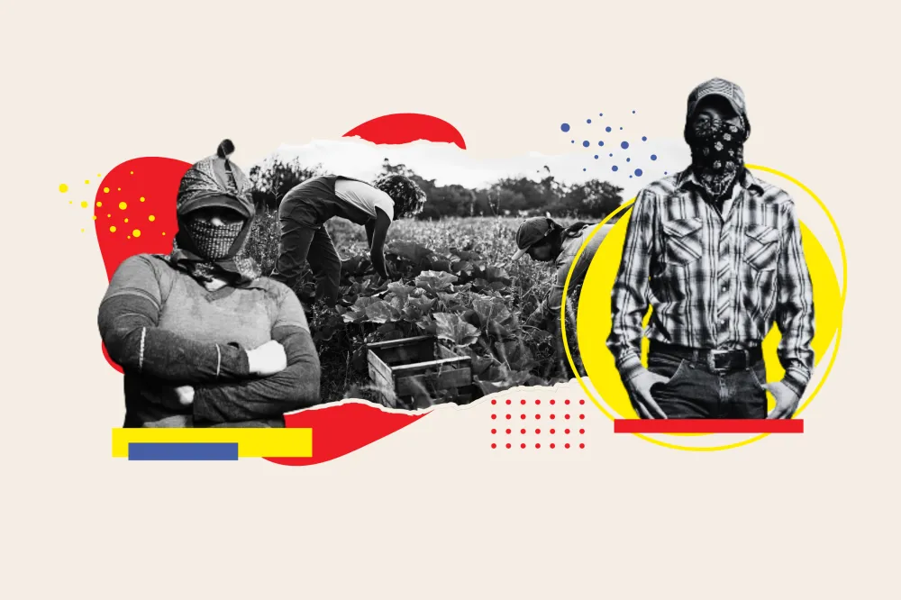 Migrant Farm Workers Says It Will Be ‘Chaos’ Without Them - Newsweek