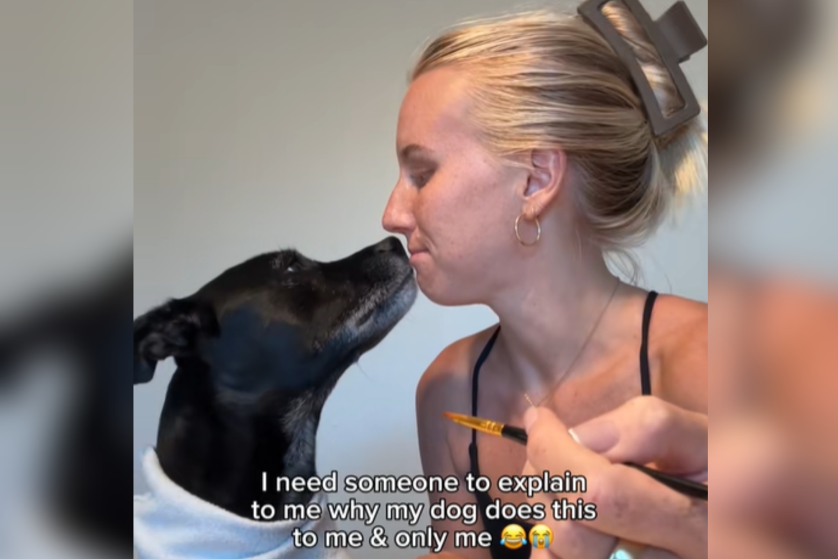 Unusual Dog Behavior: Surprising Signs You Should Never Ignore