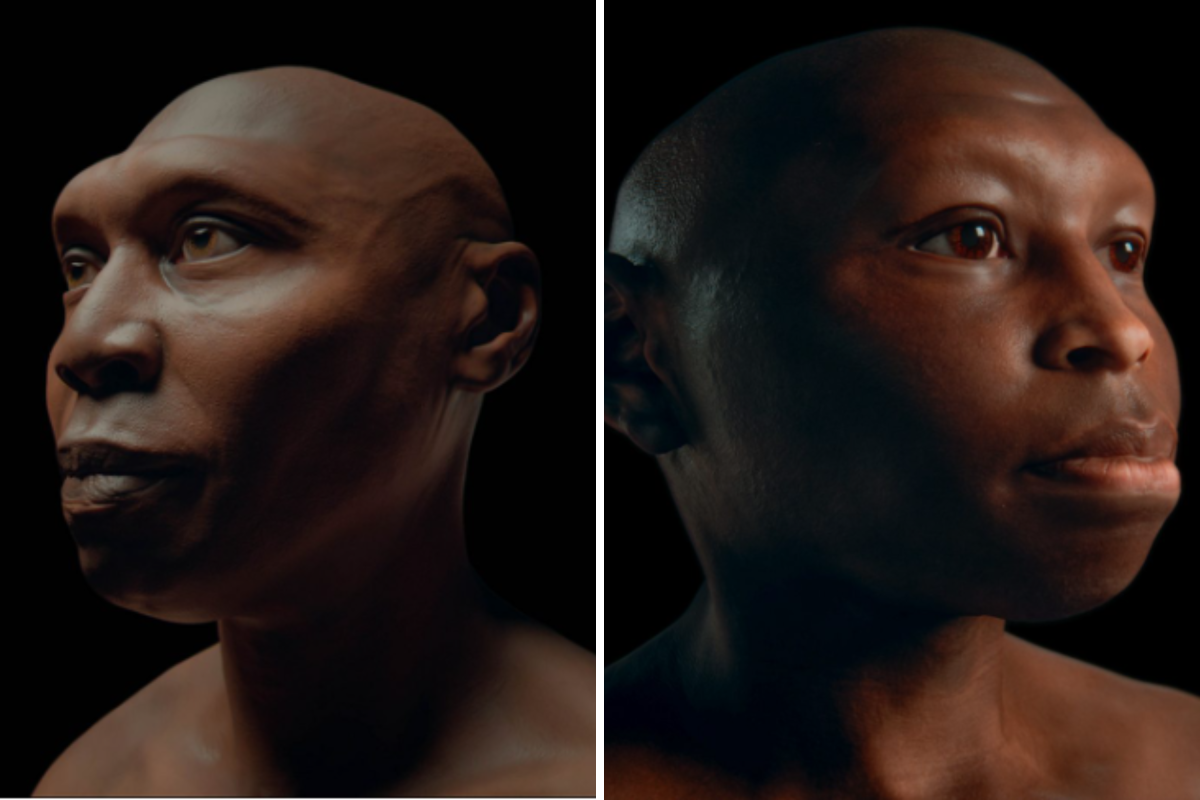 Human Types Newly Released Images Show 3 Early Human Species - Newsweek