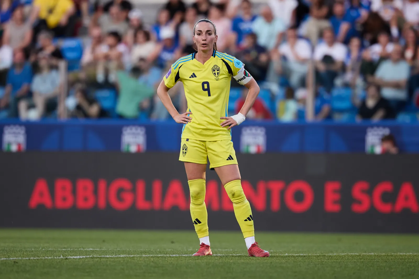 Fans cheering at the Weber County Ice Sheet