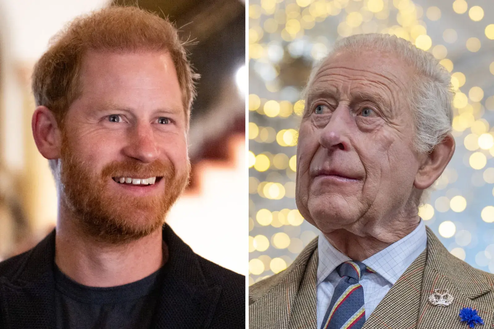 Prince Harry and King Charles Peace Hopes Rocked by Photo... - Newsweek