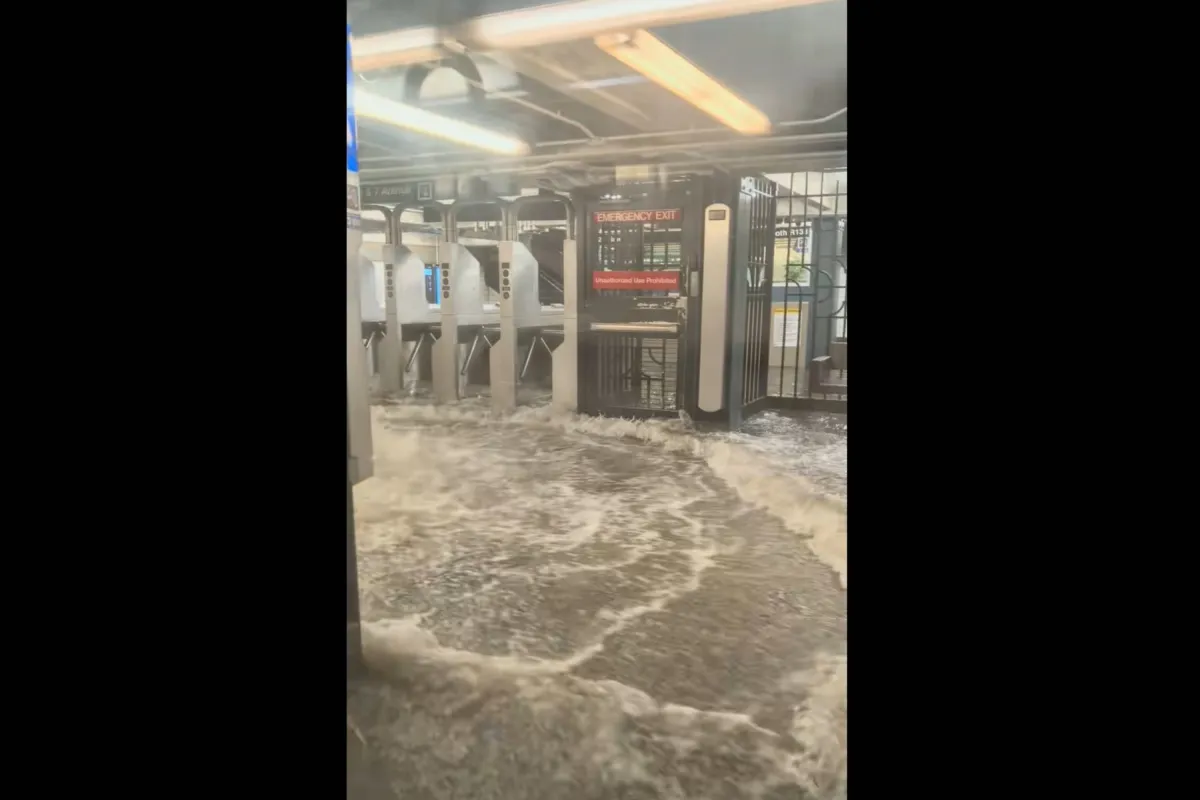 NYC Subway Car Filling With Water As City Floods Goes Viral - Newsweek