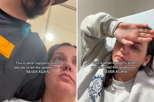 Woman Decides To Let Spider Live, Has Instant Regret: ‘Never Again ...