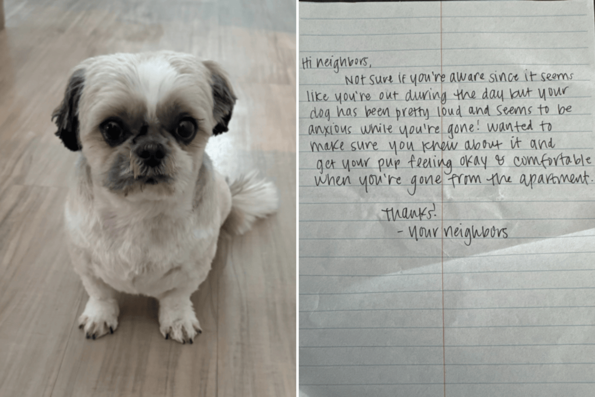 Rescue Dog Left Home Alone—Woman Left Heartbroken by Note From Neighbor ...