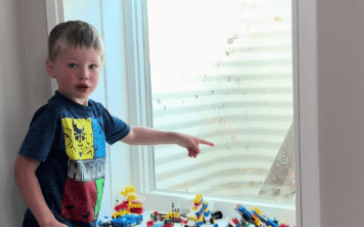 Problem Allarming 4-Year-Old Can’t Use Fire Escape, Horror as Mom Sees What the Problem ...