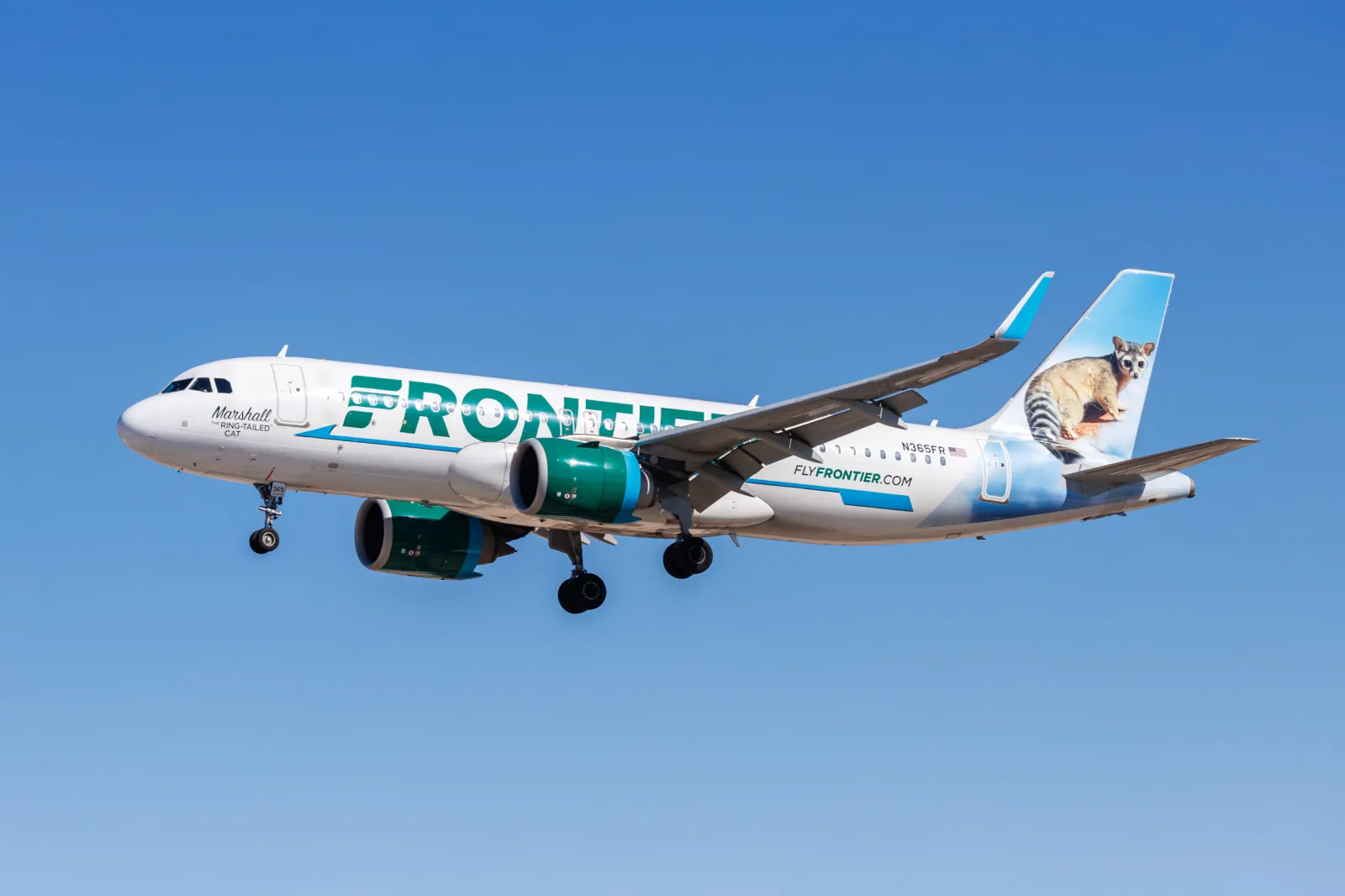 Deaf Woman Removed From Frontier Flight for ‘Not Listening’