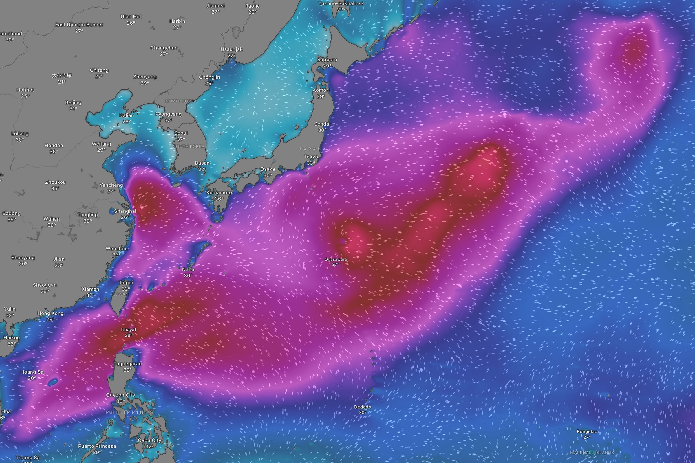 Tsunami live tracker as waves hit California, Hawaii - Newsweek