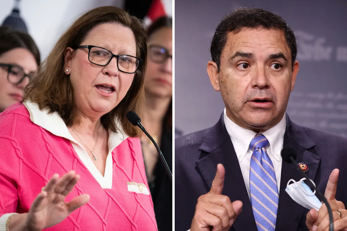 Texas Congressional Map: Full List of Democrats Targeted by GOP's Trump ...