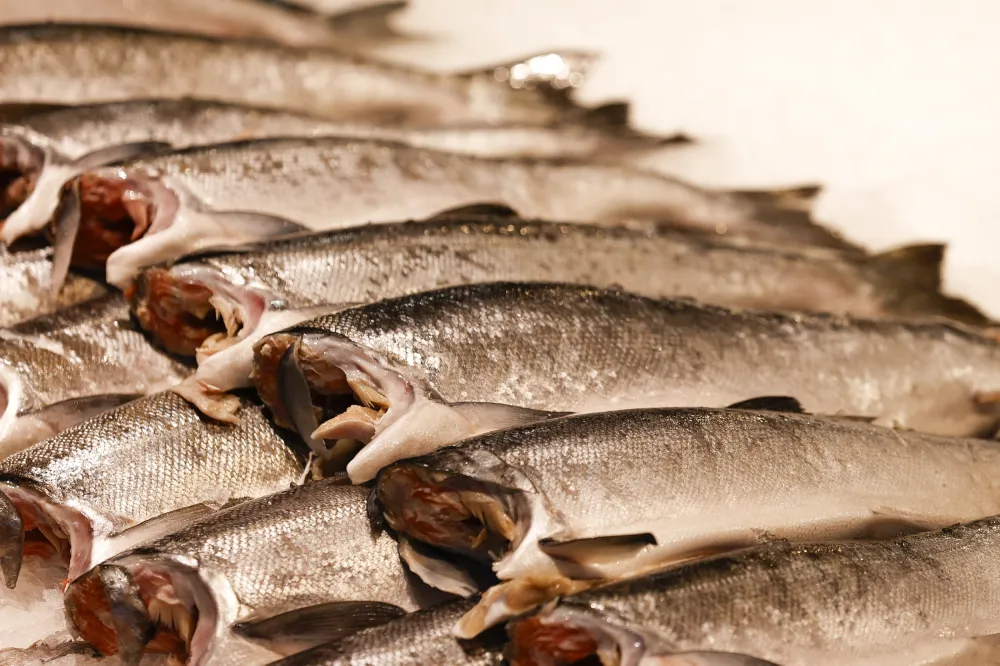 Fish Recall Sparks FDA Risk Warning - Newsweek